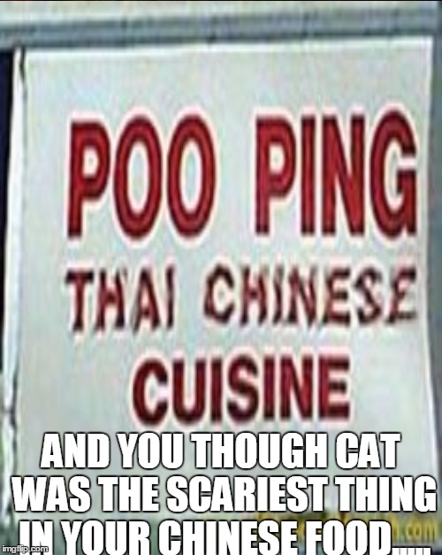 I knew my mei fun tasted funny.... | AND YOU THOUGH CAT WAS THE SCARIEST THING IN YOUR CHINESE FOOD..... | image tagged in chinese food,poop,pooping | made w/ Imgflip meme maker