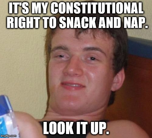 10 Guy | IT'S MY CONSTITUTIONAL RIGHT TO SNACK AND NAP. LOOK IT UP. | image tagged in memes,10 guy | made w/ Imgflip meme maker