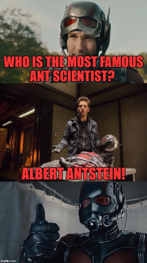 Bad Pun Ant-Man | WHO IS THE MOST FAMOUS ANT SCIENTIST? ALBERT ANTSTEIN! | image tagged in bad pun ant-man,funny,memes,bad pun,marvel,ant-man | made w/ Imgflip meme maker