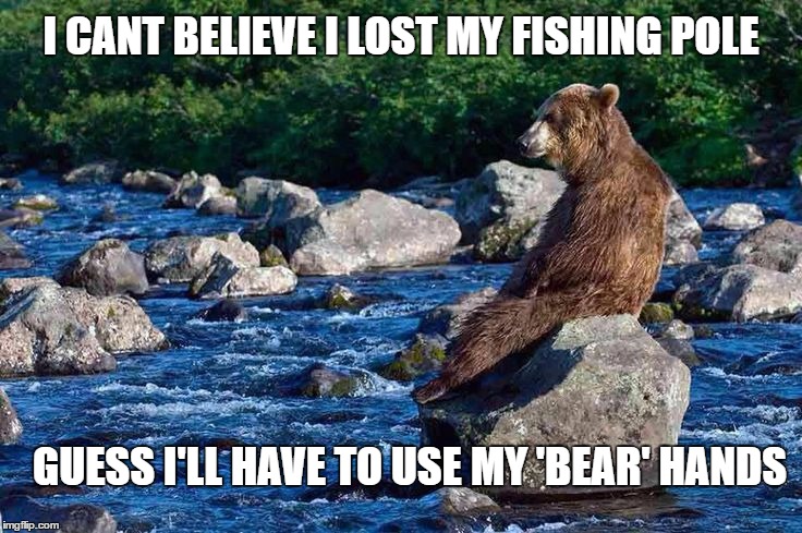 Contemplative Bear - Let's Make Him The Next Template | I CANT BELIEVE I LOST MY FISHING POLE; GUESS I'LL HAVE TO USE MY 'BEAR' HANDS | image tagged in bear,contemplating,memes | made w/ Imgflip meme maker