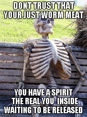 DONT TRUST THAT YOUR JUST WORM MEAT YOU HAVE A SPIRIT  THE REAL YOU  INSIDE WAITING TO BE RELEASED | image tagged in memes,waiting skeleton | made w/ Imgflip meme maker