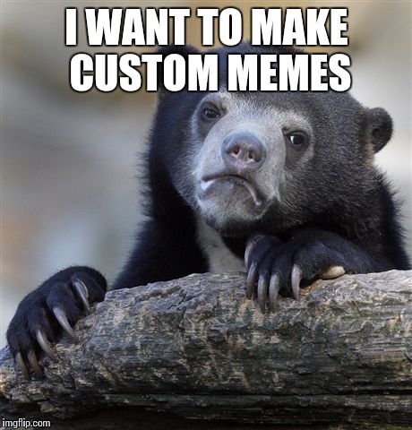 Confession Bear | I WANT TO MAKE CUSTOM MEMES | image tagged in memes,confession bear | made w/ Imgflip meme maker