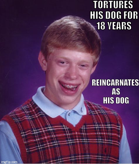 Bad Luck Brian | TORTURES HIS DOG FOR 18 YEARS; REINCARNATES AS HIS DOG | image tagged in memes,bad luck brian | made w/ Imgflip meme maker