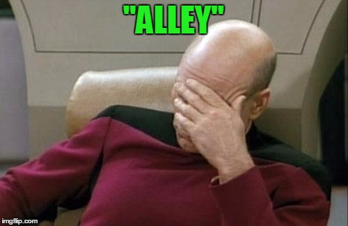 Captain Picard Facepalm Meme | "ALLEY" | image tagged in memes,captain picard facepalm | made w/ Imgflip meme maker
