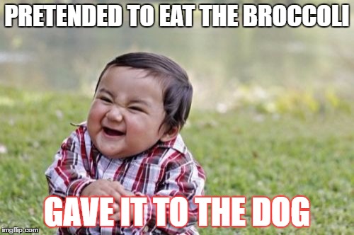 Evil Toddler | PRETENDED TO EAT THE BROCCOLI; GAVE IT TO THE DOG | image tagged in memes,evil toddler | made w/ Imgflip meme maker