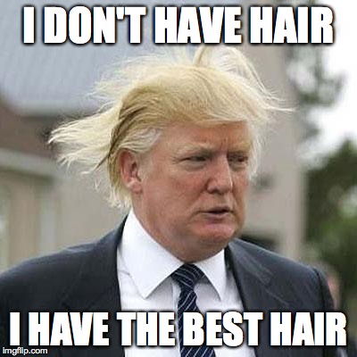 Donald Trump | I DON'T HAVE HAIR; I HAVE THE BEST HAIR | image tagged in donald trump | made w/ Imgflip meme maker