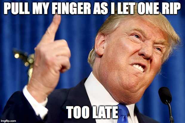 Donald Trump | PULL MY FINGER AS I LET ONE RIP; TOO LATE | image tagged in donald trump | made w/ Imgflip meme maker