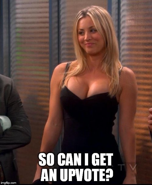Penny - LBD | SO CAN I GET AN UPVOTE? | image tagged in penny - lbd | made w/ Imgflip meme maker