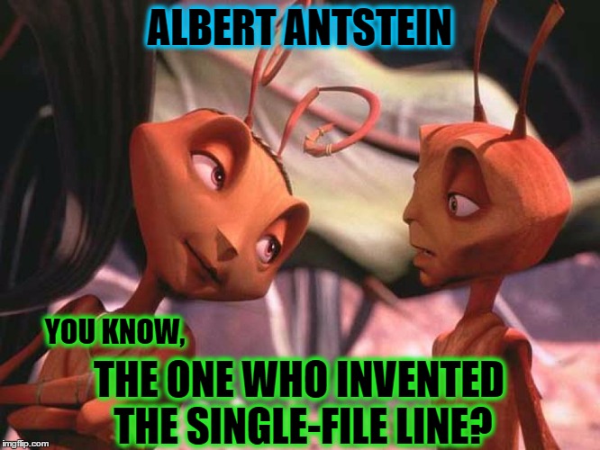 ALBERT ANTSTEIN YOU KNOW, THE ONE WHO INVENTED THE SINGLE-FILE LINE? | made w/ Imgflip meme maker