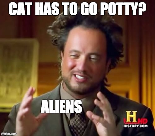Ancient Aliens Meme | CAT HAS TO GO POTTY? ALIENS | image tagged in memes,ancient aliens | made w/ Imgflip meme maker