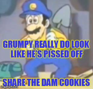 GRUMPY REALLY DO LOOK LIKE HE'S PISSED OFF SHARE THE DAM COOKIES | made w/ Imgflip meme maker