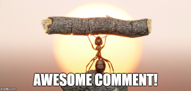 AWESOME COMMENT! | made w/ Imgflip meme maker