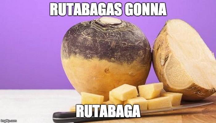 RUTABAGAS GONNA; RUTABAGA | image tagged in haters gonna hate | made w/ Imgflip meme maker