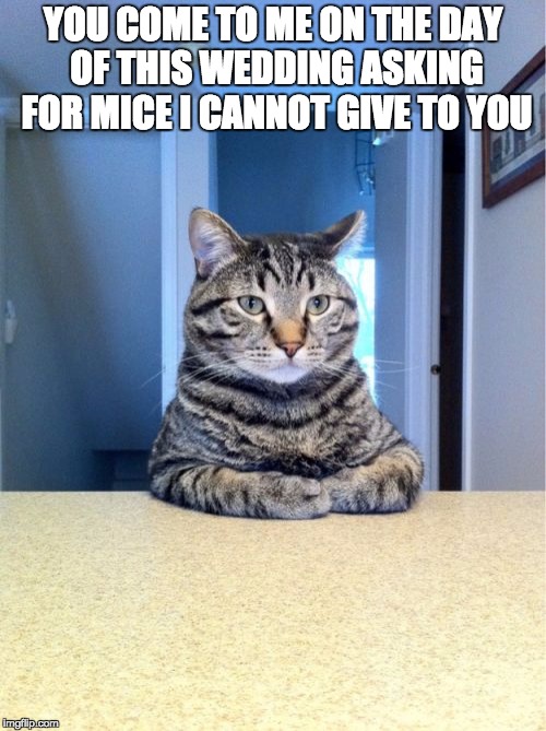 It Meowty powerful | YOU COME TO ME ON THE DAY OF THIS WEDDING ASKING FOR MICE I CANNOT GIVE TO YOU | image tagged in memes,take a seat cat,mafia,godfather,meow,cats | made w/ Imgflip meme maker