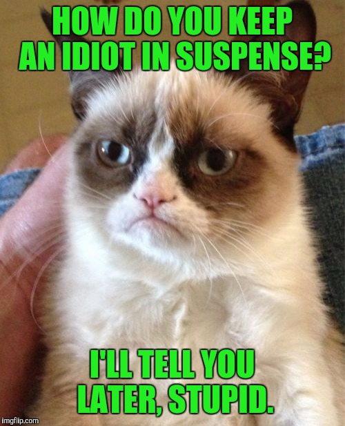 Grumpy Cat | HOW DO YOU KEEP AN IDIOT IN SUSPENSE? I'LL TELL YOU LATER, STUPID. | image tagged in memes,grumpy cat | made w/ Imgflip meme maker