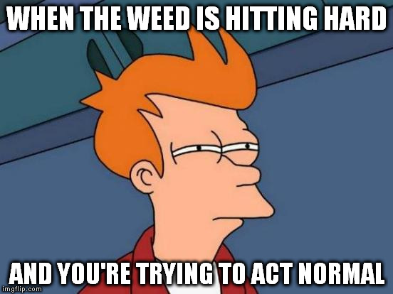 Futurama Fry | WHEN THE WEED IS HITTING HARD; AND YOU'RE TRYING TO ACT NORMAL | image tagged in memes,futurama fry | made w/ Imgflip meme maker