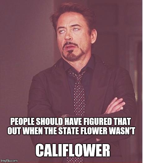 Face You Make Robert Downey Jr Meme | PEOPLE SHOULD HAVE FIGURED THAT OUT WHEN THE STATE FLOWER WASN'T CALIFLOWER | image tagged in memes,face you make robert downey jr | made w/ Imgflip meme maker