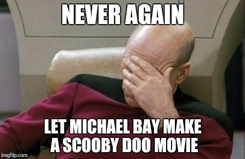 Captain Picard Facepalm Meme | NEVER AGAIN LET MICHAEL BAY MAKE A SCOOBY DOO MOVIE | image tagged in memes,captain picard facepalm | made w/ Imgflip meme maker