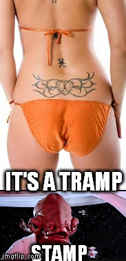 STAMP IT'S A TRAMP | made w/ Imgflip meme maker