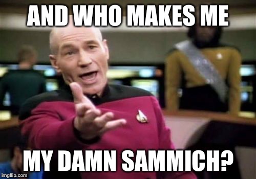 Picard Wtf Meme | AND WHO MAKES ME MY DAMN SAMMICH? | image tagged in memes,picard wtf | made w/ Imgflip meme maker
