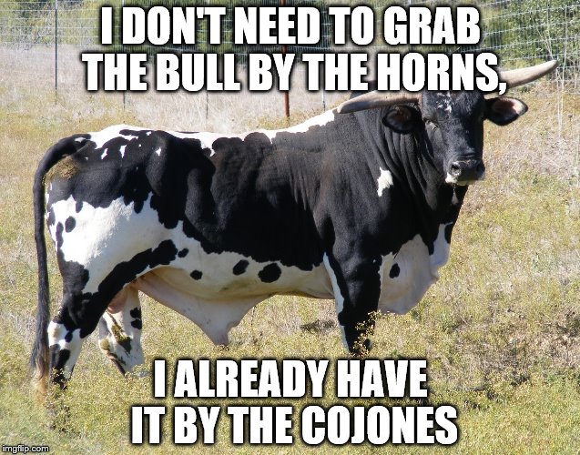I DON'T NEED TO GRAB THE BULL BY THE HORNS, I ALREADY HAVE IT BY THE COJONES | image tagged in inspirational | made w/ Imgflip meme maker