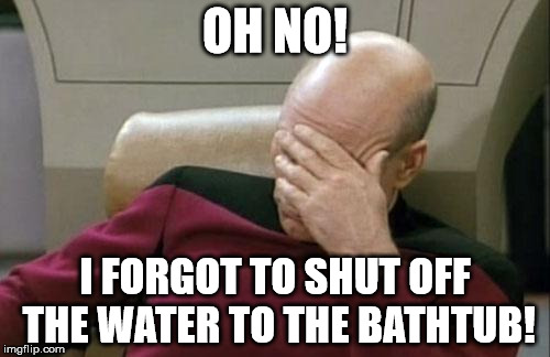Captain Picard Facepalm | OH NO! I FORGOT TO SHUT OFF THE WATER TO THE BATHTUB! | image tagged in memes,captain picard facepalm | made w/ Imgflip meme maker