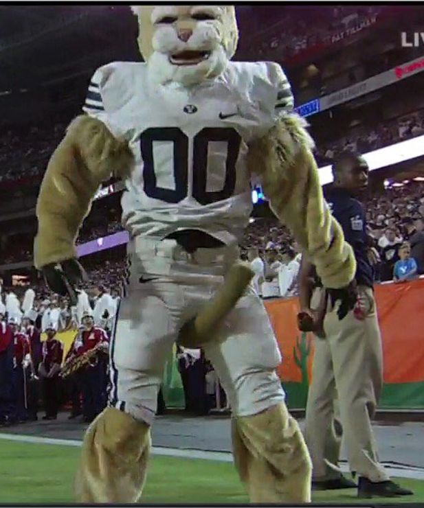 Excited BYU Cougar Blank Meme Template