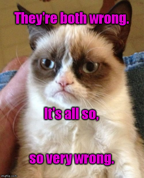 Grumpy Cat Meme | They're both wrong. so very wrong. It's all so, | image tagged in memes,grumpy cat | made w/ Imgflip meme maker