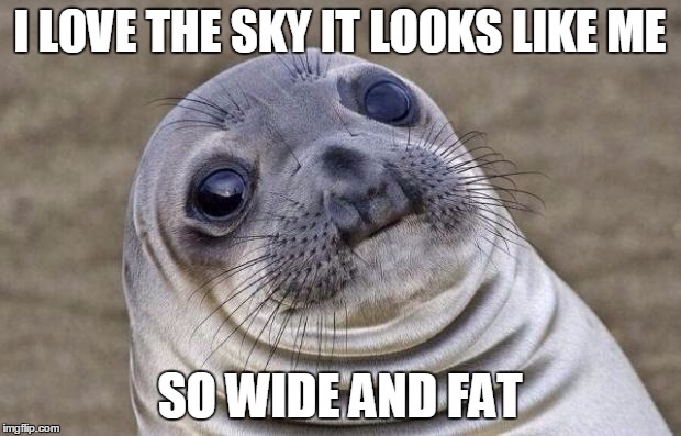 Awkward Moment Sealion | I LOVE THE SKY IT LOOKS LIKE ME; SO WIDE AND FAT | image tagged in memes,awkward moment sealion | made w/ Imgflip meme maker