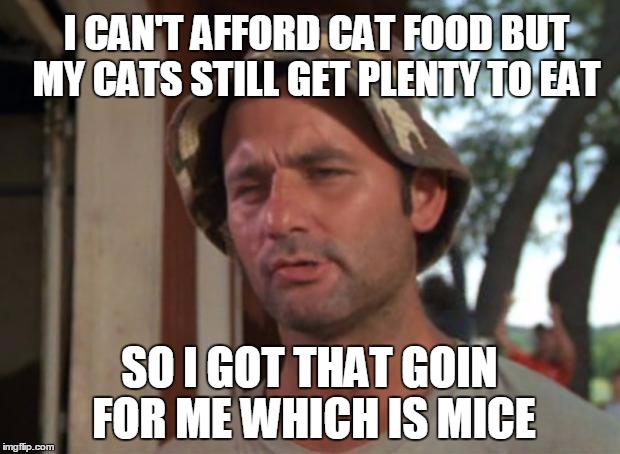 CATS WILL FIND A WAY | I CAN'T AFFORD CAT FOOD BUT MY CATS STILL GET PLENTY TO EAT; SO I GOT THAT GOIN FOR ME WHICH IS MICE | image tagged in memes,so i got that goin for me which is nice,cats,pets | made w/ Imgflip meme maker