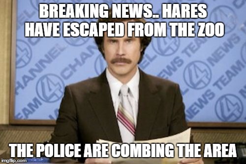 Ron Burgundy Meme | BREAKING NEWS.. HARES HAVE ESCAPED FROM THE ZOO; THE POLICE ARE COMBING THE AREA | image tagged in memes,ron burgundy | made w/ Imgflip meme maker