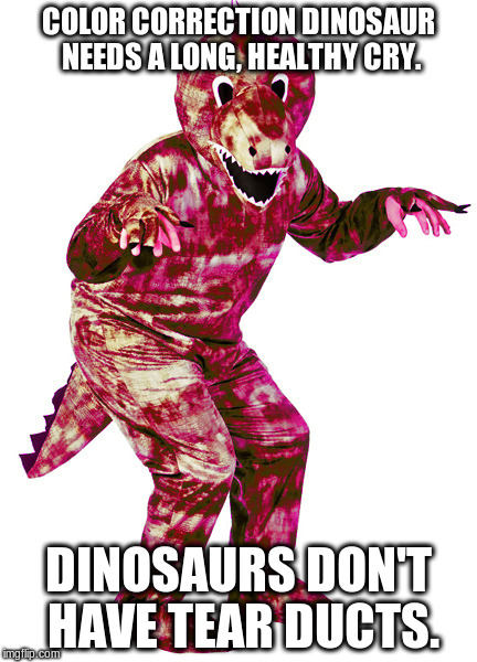 Color correction dinosaur | COLOR CORRECTION DINOSAUR NEEDS A LONG, HEALTHY CRY. DINOSAURS DON'T HAVE TEAR DUCTS. | image tagged in color correction dinosaur | made w/ Imgflip meme maker