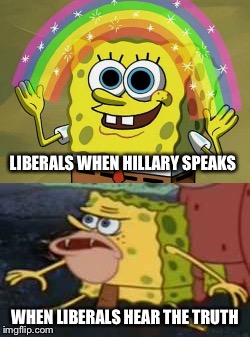 How quickly a conversation can go downhill | LIBERALS WHEN HILLARY SPEAKS; WHEN LIBERALS HEAR THE TRUTH | image tagged in memes | made w/ Imgflip meme maker