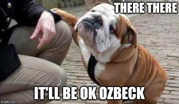 There There Dog | THERE THERE IT'LL BE OK OZBECK | image tagged in there there dog | made w/ Imgflip meme maker