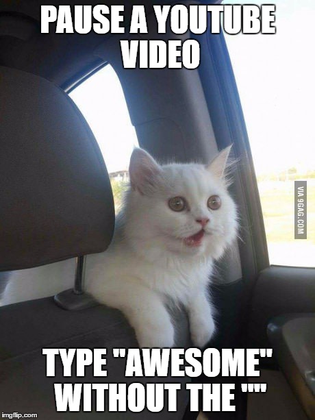 PAUSE A YOUTUBE VIDEO; TYPE "AWESOME" WITHOUT THE "" | image tagged in shocked cat,awesome | made w/ Imgflip meme maker