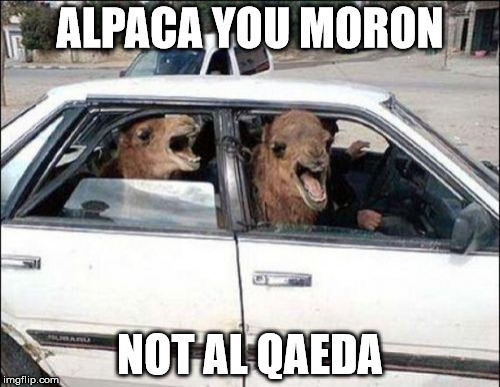 Quit Hatin | ALPACA YOU MORON; NOT AL QAEDA | image tagged in memes,quit hatin | made w/ Imgflip meme maker