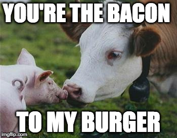 Send to someone you love <3 | YOU'RE THE BACON; TO MY BURGER | image tagged in vegan,bacon,burger,pig,iwanttobebacon,iwanttobebaconcom | made w/ Imgflip meme maker