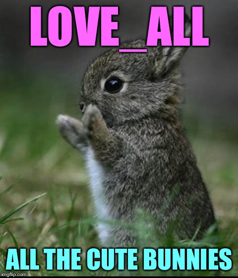 Cute Bunny | LOVE_ALL; ALL THE CUTE BUNNIES | image tagged in cute bunny,memes | made w/ Imgflip meme maker