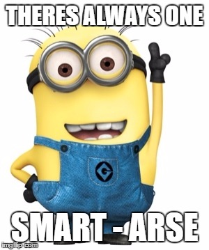 raise hand | THERES ALWAYS ONE; SMART - ARSE | image tagged in raise hand,smartass,smartarse,always one | made w/ Imgflip meme maker