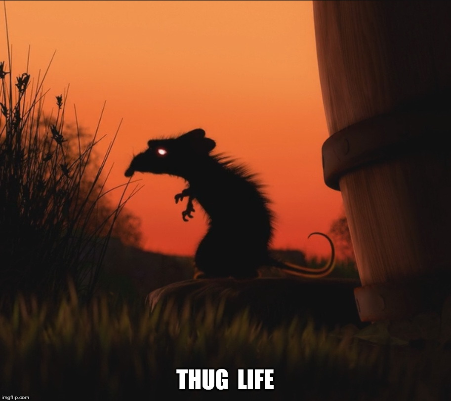 THUG  LIFE | image tagged in thug life | made w/ Imgflip meme maker