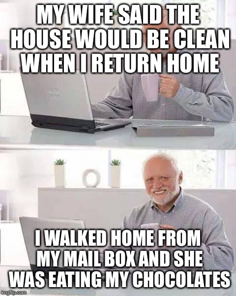 The house isn't even clean | MY WIFE SAID THE HOUSE WOULD BE CLEAN WHEN I RETURN HOME; I WALKED HOME FROM MY MAIL BOX AND SHE WAS EATING MY CHOCOLATES | image tagged in memes,hide the pain harold,wife,happy house wife,clean,house | made w/ Imgflip meme maker