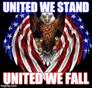 UNITED WE STAND; UNITED WE FALL | image tagged in united | made w/ Imgflip meme maker