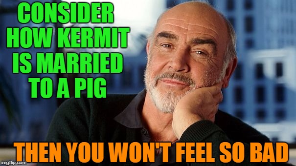 CONSIDER HOW KERMIT IS MARRIED TO A PIG THEN YOU WON'T FEEL SO BAD | image tagged in sean | made w/ Imgflip meme maker