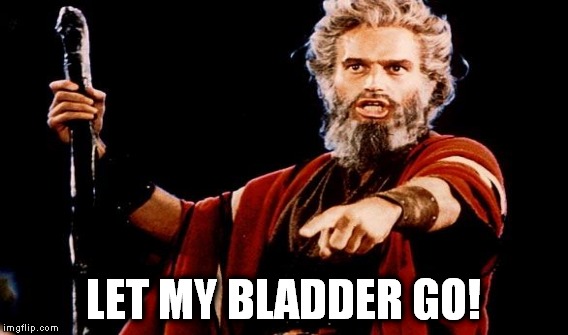 LET MY BLADDER GO! | made w/ Imgflip meme maker