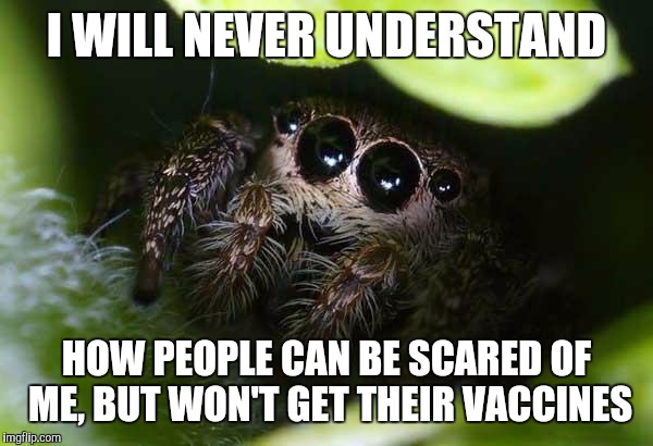 missunder stoood spider | I WILL NEVER UNDERSTAND; HOW PEOPLE CAN BE SCARED OF ME, BUT WON'T GET THEIR VACCINES | image tagged in missunder stoood spider | made w/ Imgflip meme maker