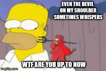 Homer Simpson Devil. | EVEN THE DEVIL ON MY SHOULDER SOMETIMES WHISPERS; WTF ARE YOU UP TO NOW | image tagged in homer simpson,devil,memes | made w/ Imgflip meme maker