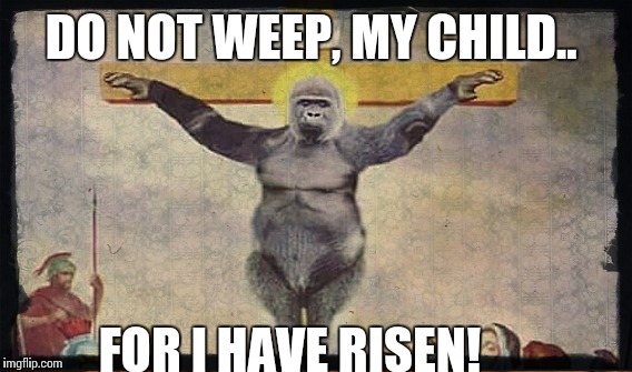 DO NOT WEEP, MY CHILD.. FOR I HAVE RISEN! | made w/ Imgflip meme maker