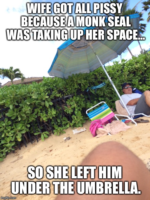 Endangered species  | WIFE GOT ALL PISSY BECAUSE A MONK SEAL WAS TAKING UP HER SPACE…; SO SHE LEFT HIM UNDER THE UMBRELLA. | image tagged in self-endangerment pig,wife,husband wife,still waiting for my wife to take me back | made w/ Imgflip meme maker