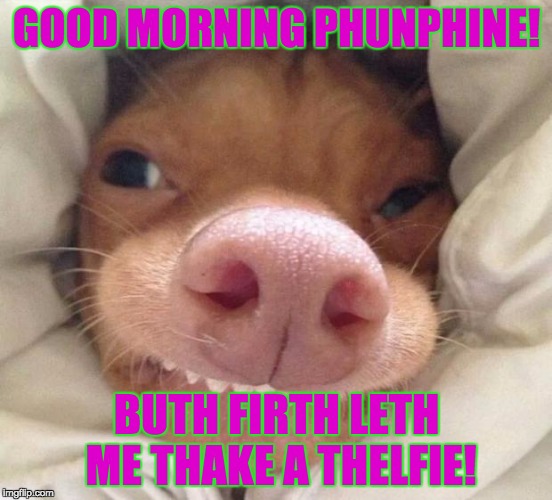 good morning | GOOD MORNING PHUNPHINE! BUTH FIRTH LETH ME THAKE A THELFIE! | image tagged in good morning,selfie,sunshine | made w/ Imgflip meme maker