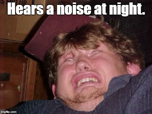 WTF Meme | Hears a noise at night. | image tagged in memes,wtf | made w/ Imgflip meme maker